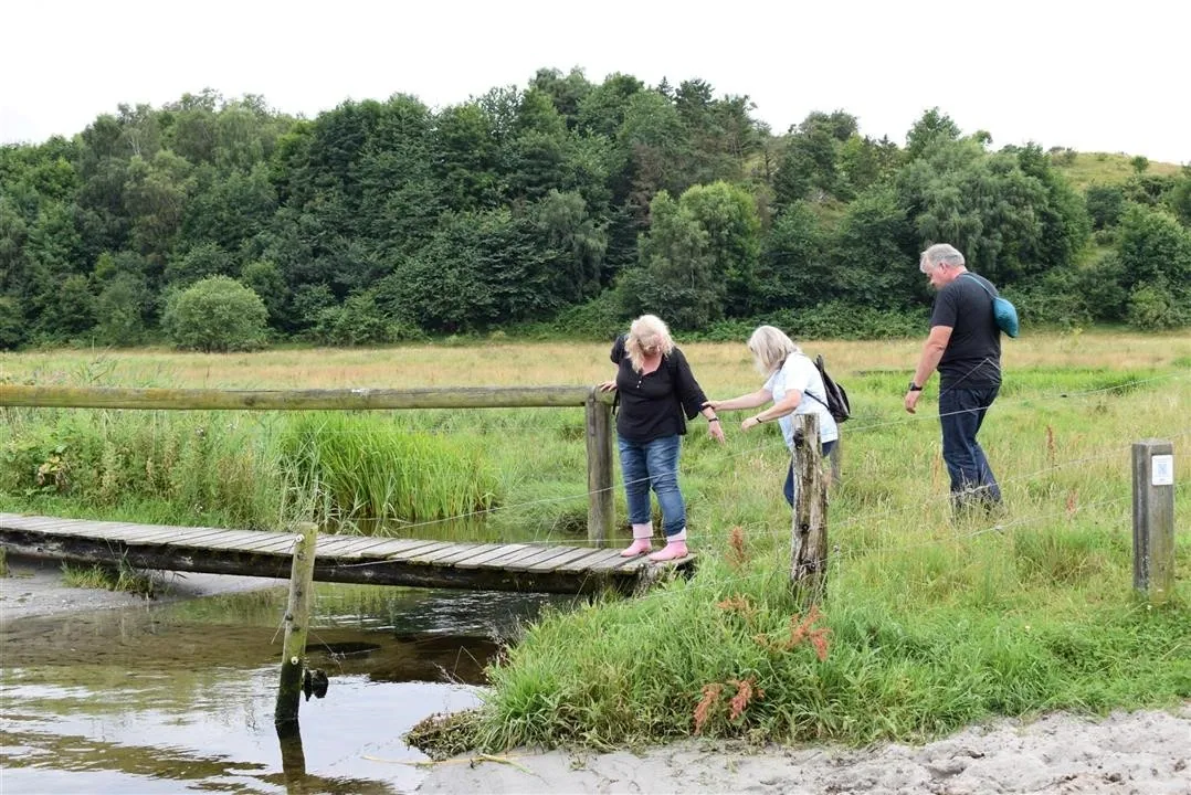 G21.5  bramslev bakker to hobro walk along mariager fjord (10)